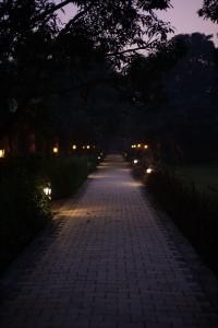 siyana