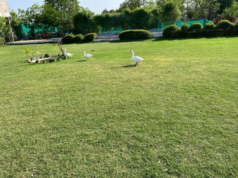 yuvraj fort by made my stay