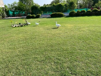 yuvraj fort by made my stay