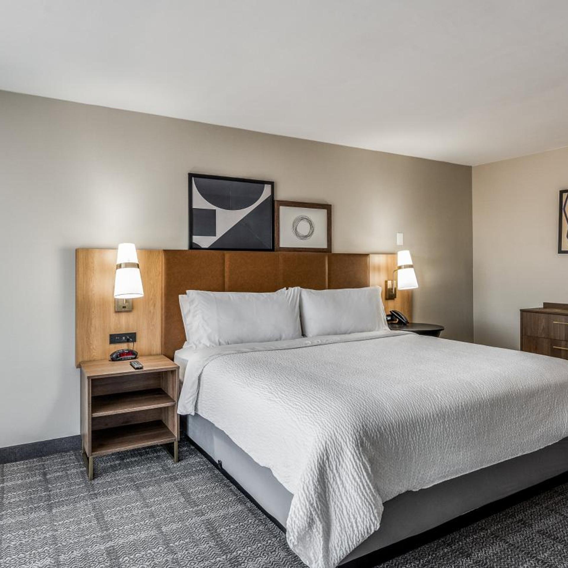 holiday inn dallas market ctr love field by ihg