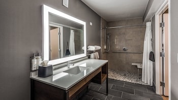Holiday Inn Dallas Market Ctr Love Field By Ihg,Dallas County>>Dallas,3 star