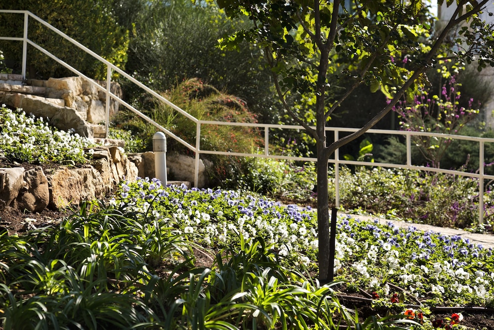 mate yehuda regional council