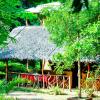 relax nature villa