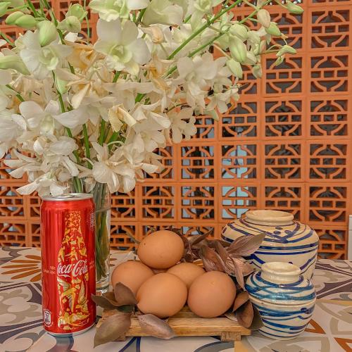 mekong 69 hostel canh ben ninh kieu