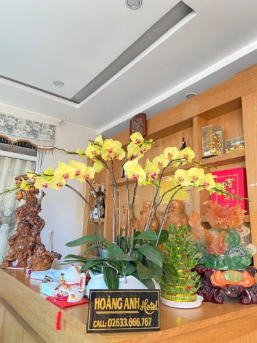 hoang anh hotel