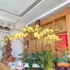 hoang anh hotel