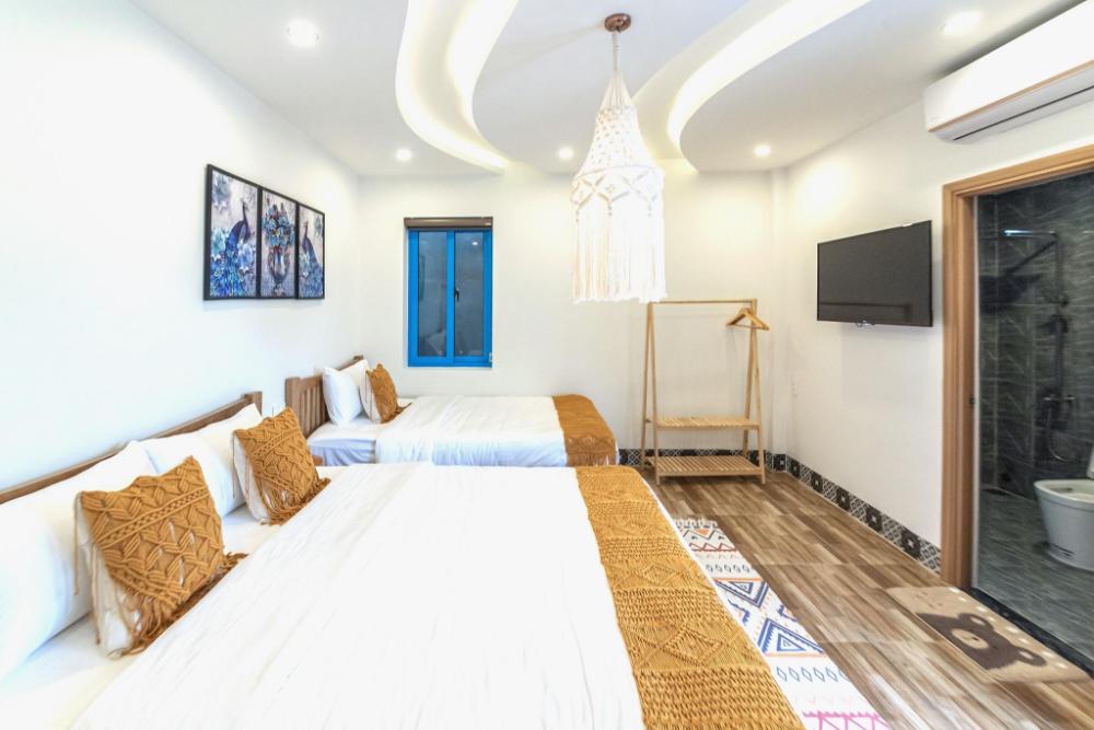 hoi an lazy bear hostel