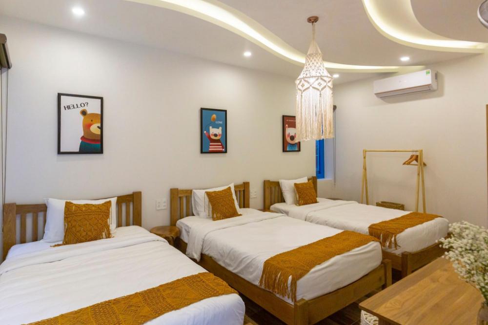 hoi an lazy bear hostel