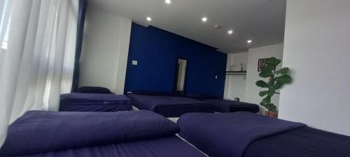 thung lung mo dream valley