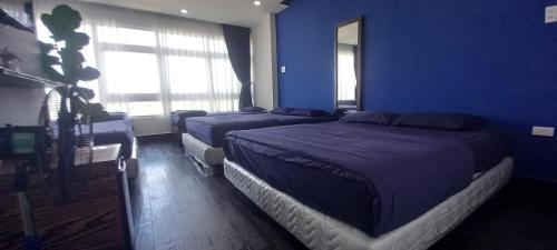 thung lung mo dream valley