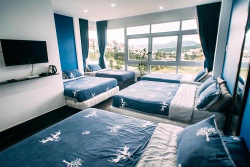 thung lung mo dream valley