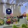 vision hotel