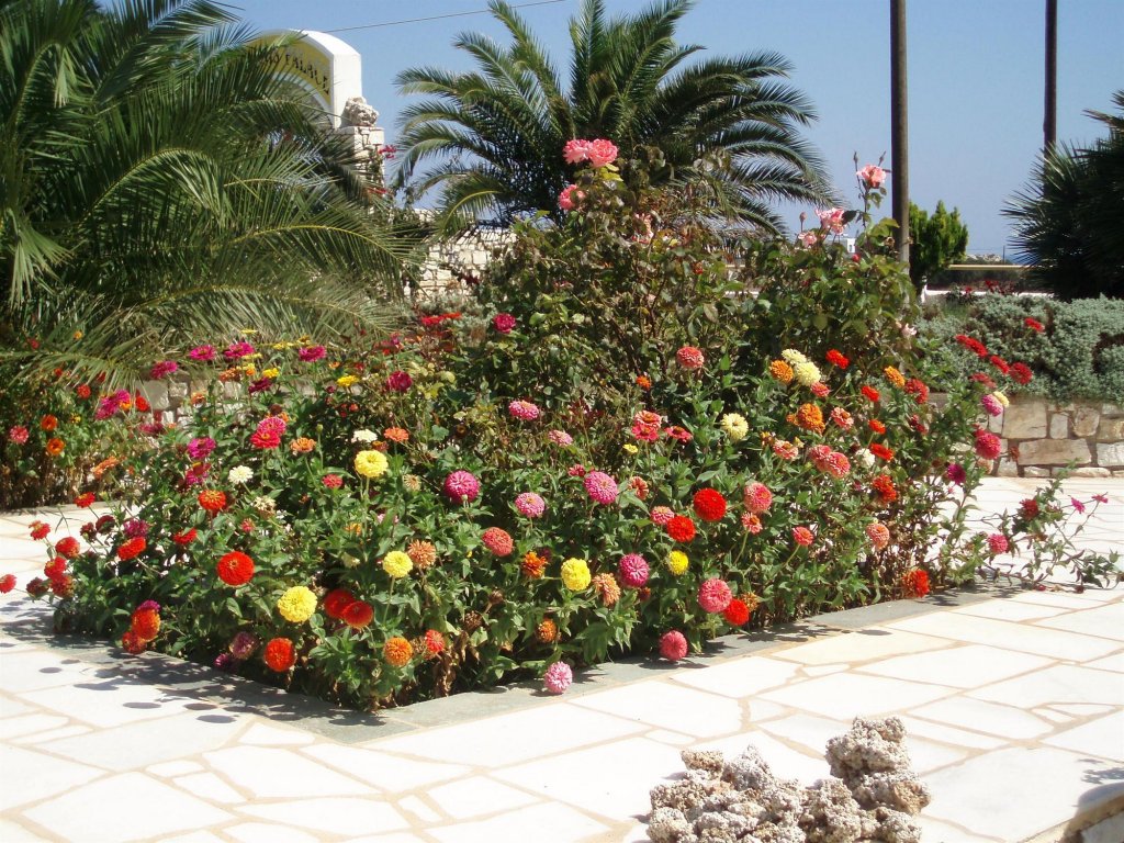 fyrogenis palace hotel apartments