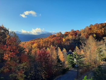 tree tops by honeybear cabins