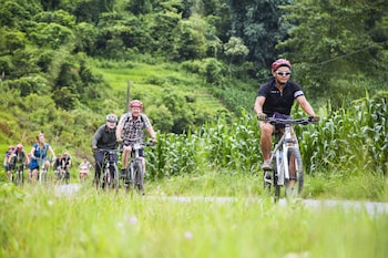 Topas Ecolodge,Lao Cai Province>>Lao Cai,3 star