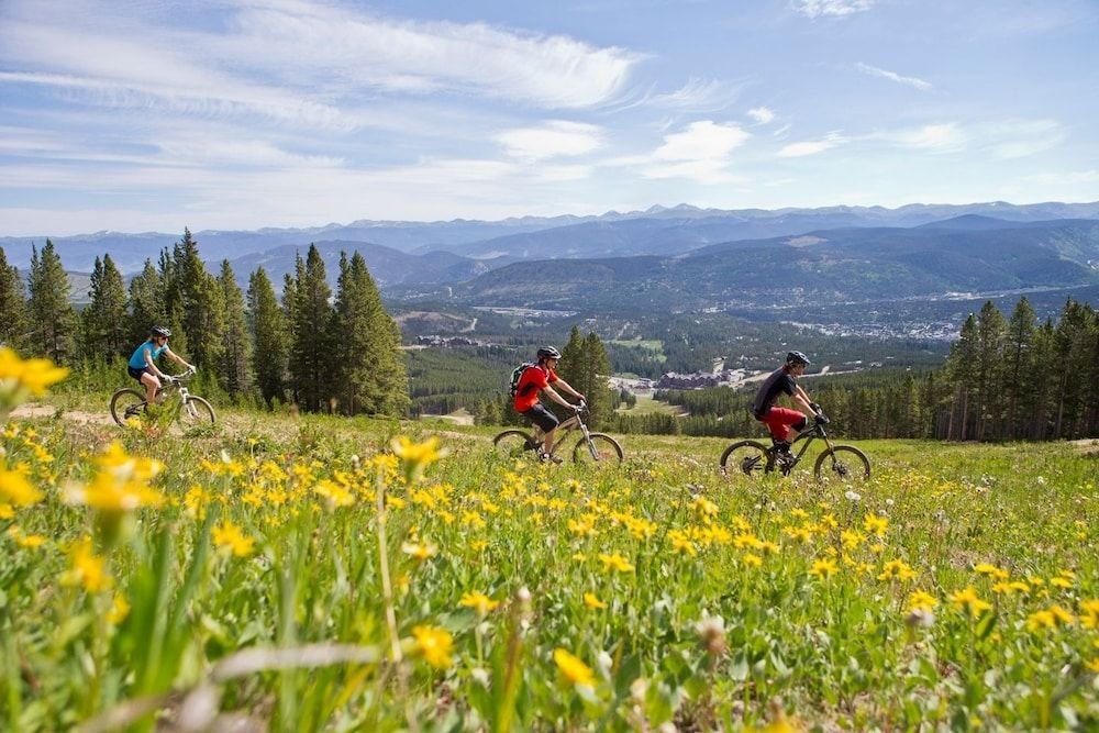 Mountain Thunder M1104,Leap Year>>Breckenridge,3.5 star