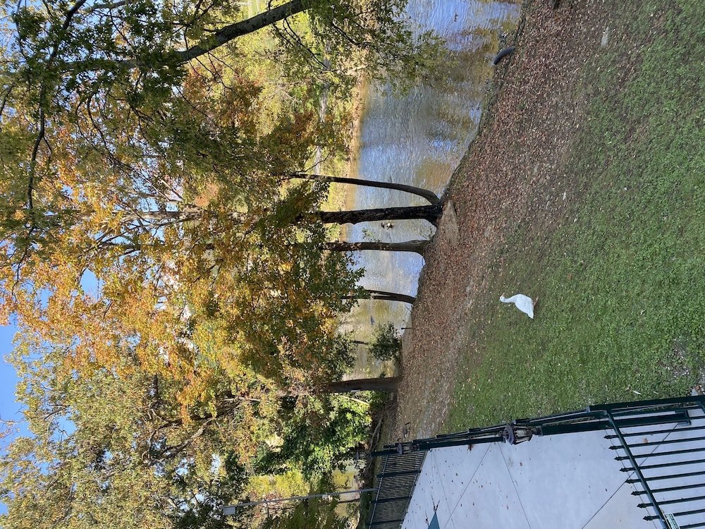 pigeon forge