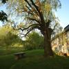 landidyll hotel erbgericht tautewalde