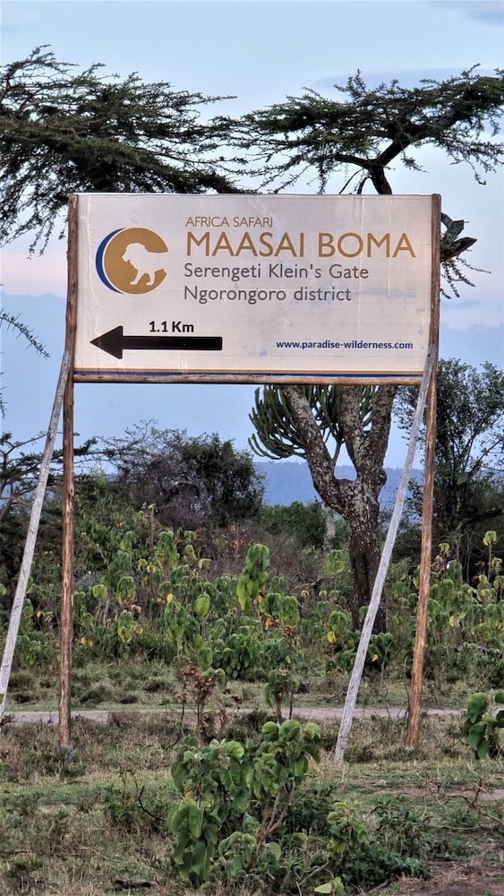 africa safari maasai boma