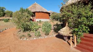 africa safari maasai boma