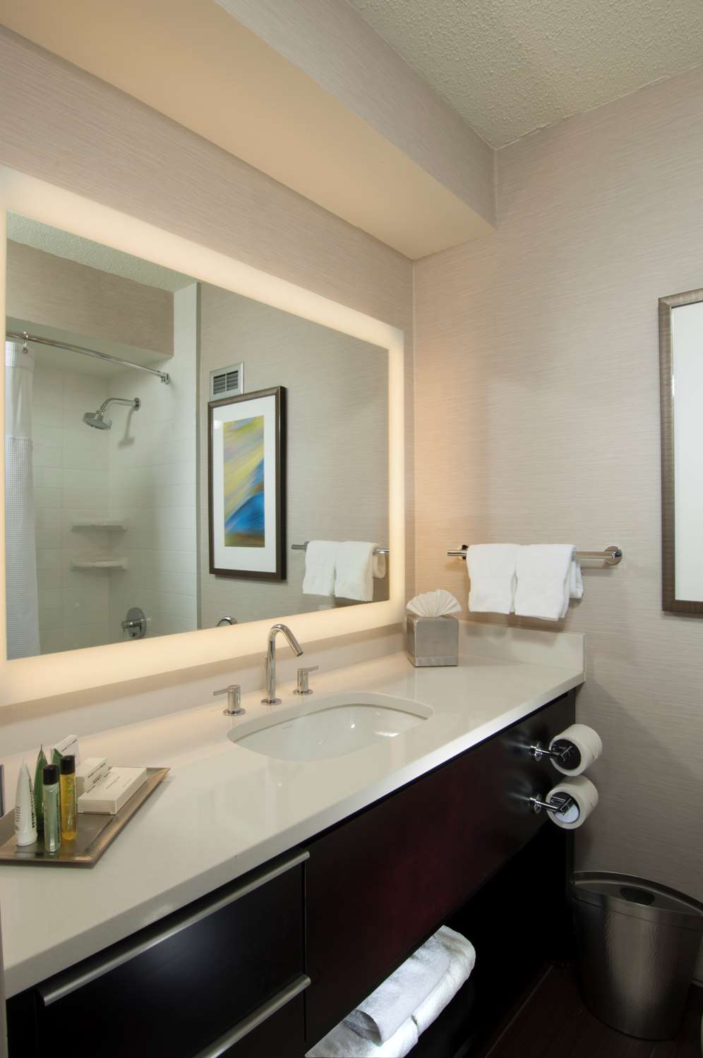 hilton albany
