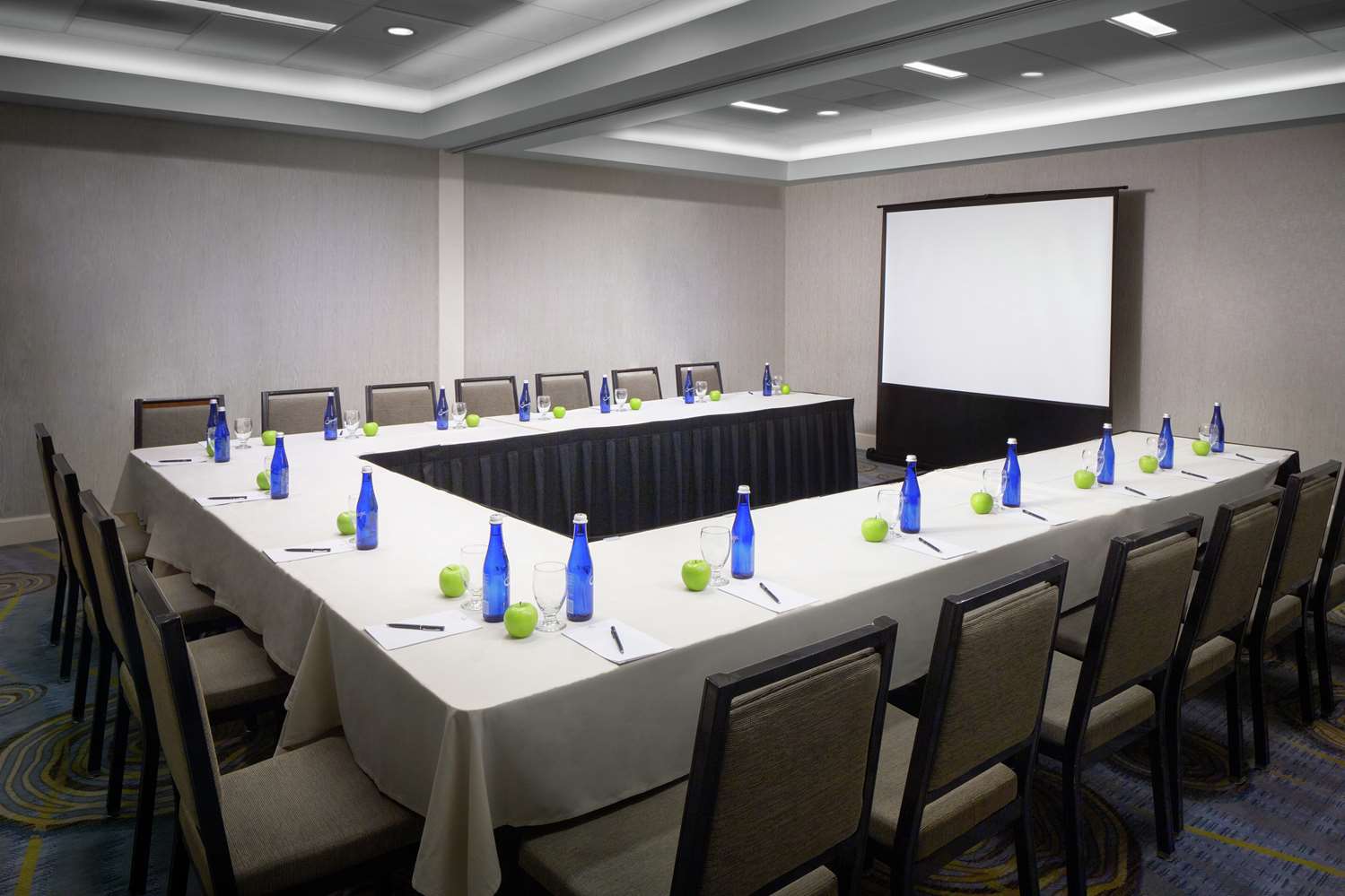 hilton albany