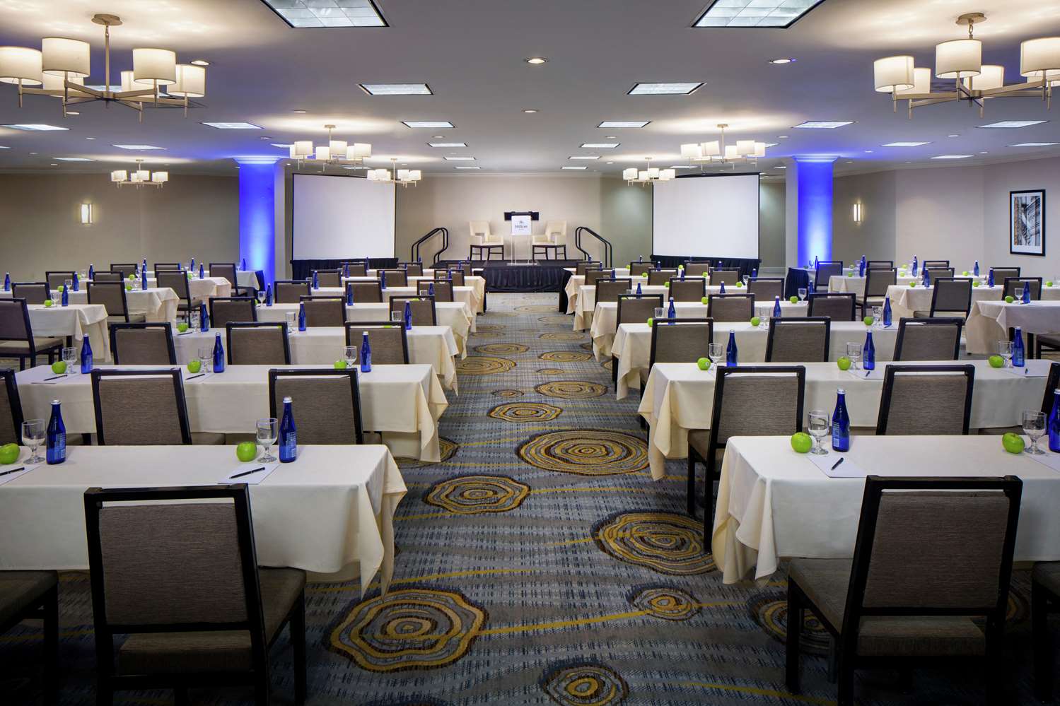 hilton albany