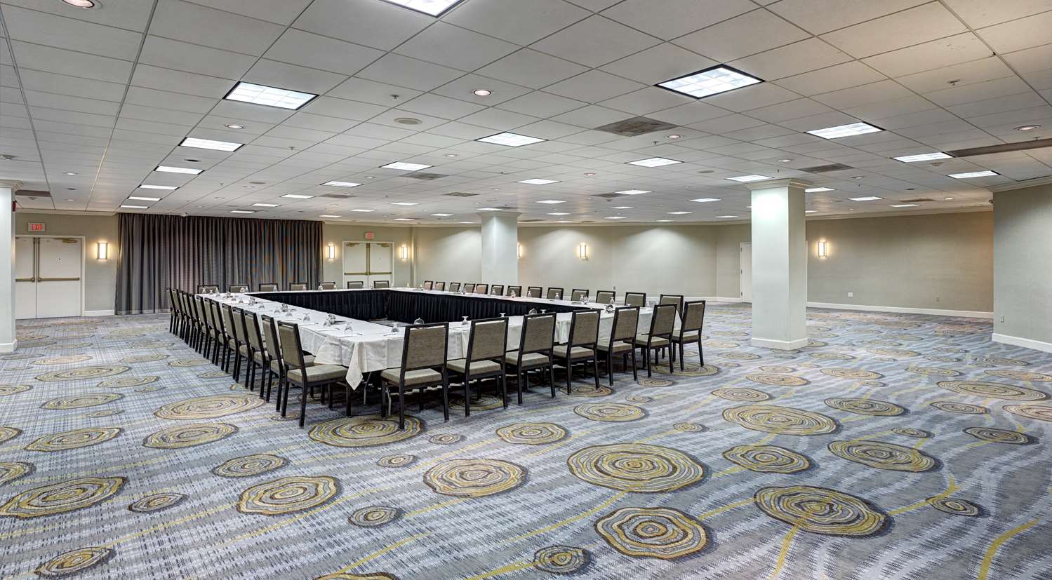 hilton albany