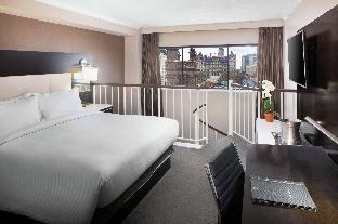 hilton albany