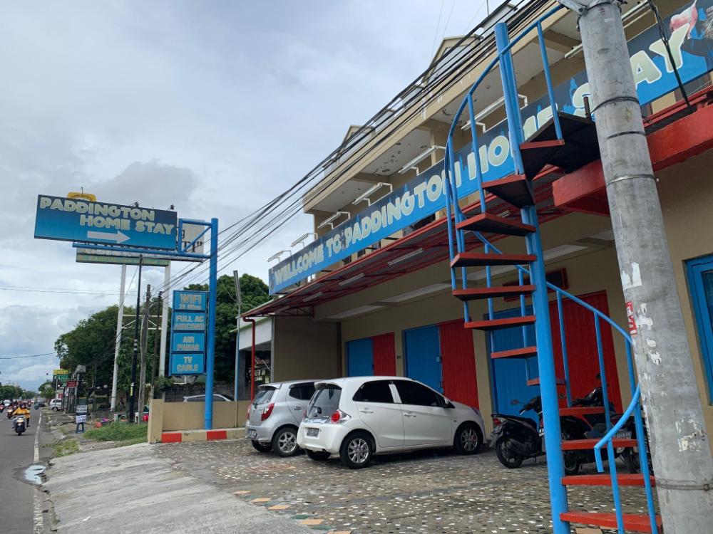 paddington bear homestay