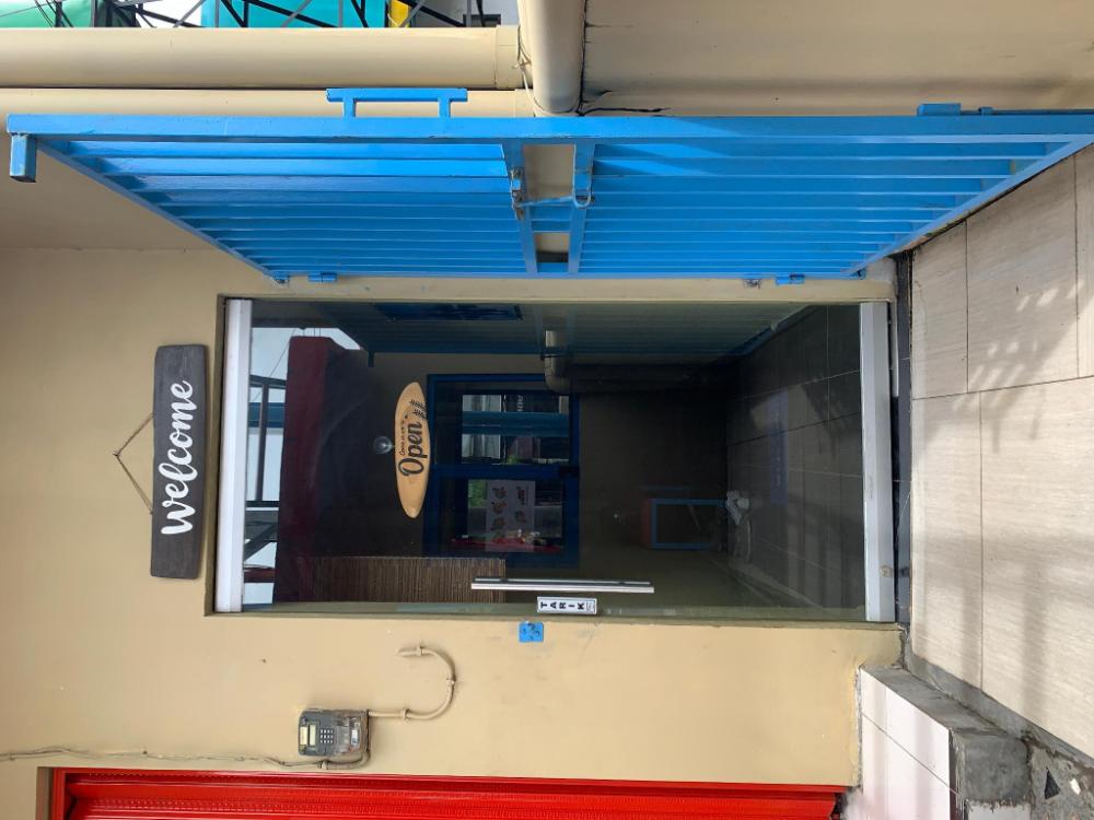 paddington bear homestay