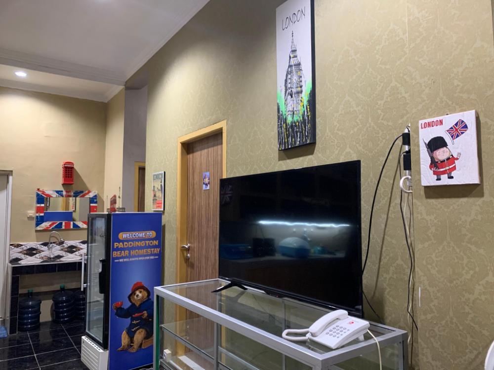 paddington bear homestay