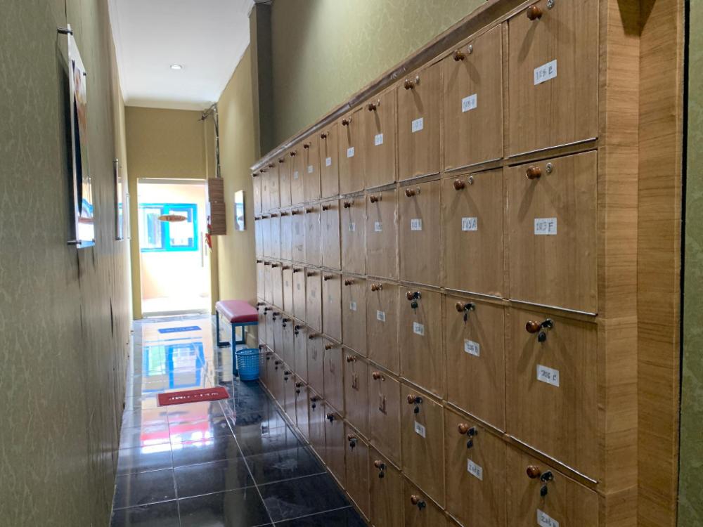 paddington bear homestay