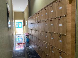 paddington bear homestay