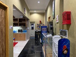 paddington bear homestay