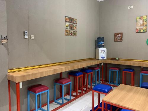 paddington bear homestay