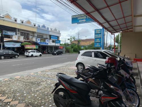 paddington bear homestay