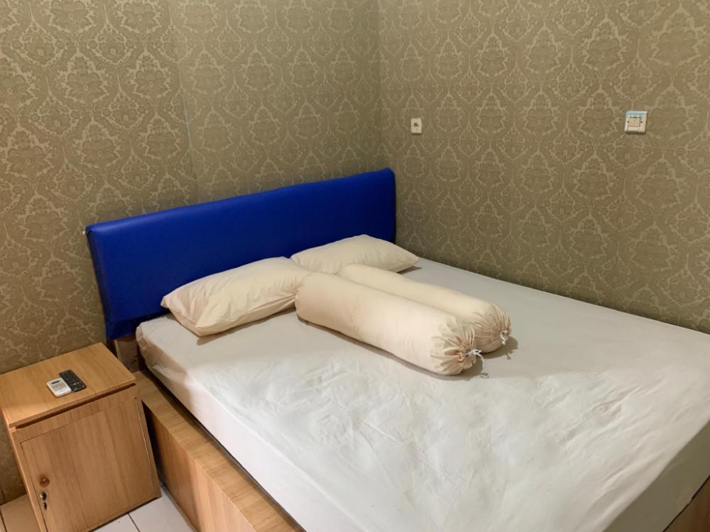 paddington bear homestay