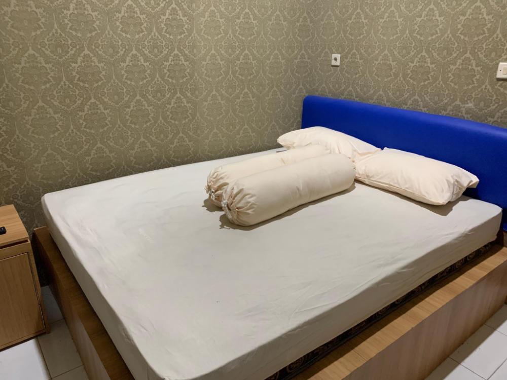 paddington bear homestay