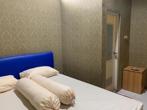 paddington bear homestay