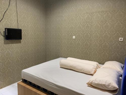 paddington bear homestay