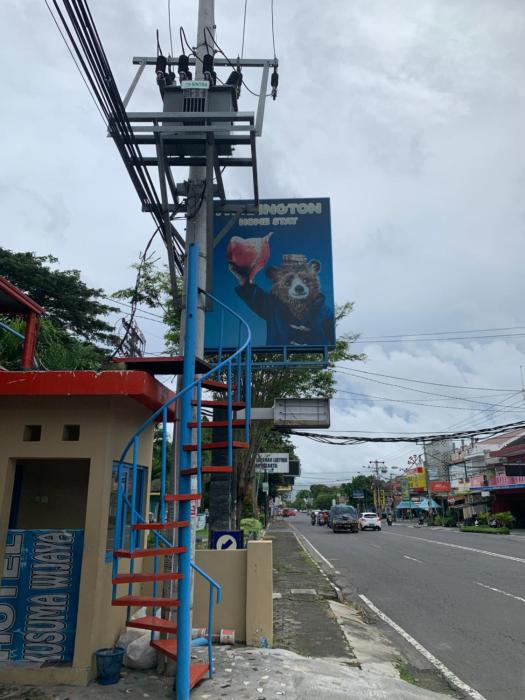 paddington bear homestay