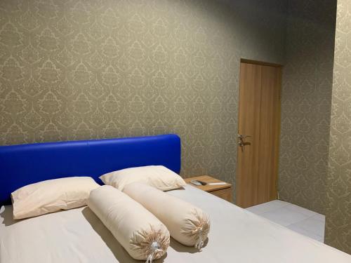 paddington bear homestay