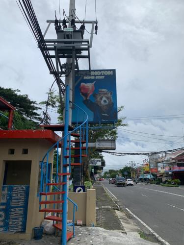 paddington bear homestay