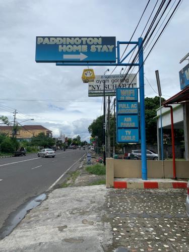 paddington bear homestay