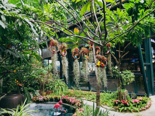 crystal resort korat