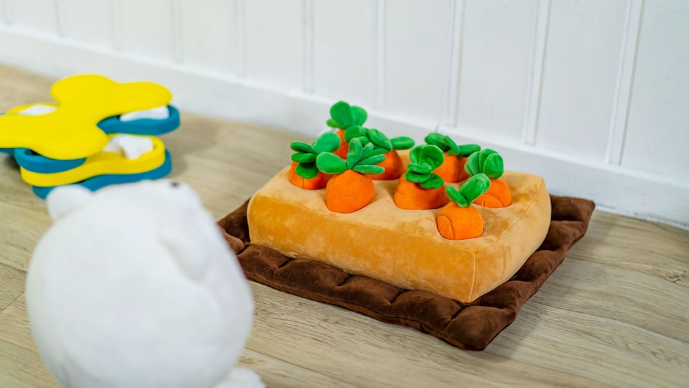 gangneung