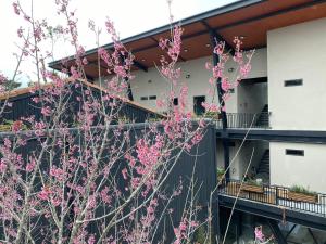 bach duong hotel