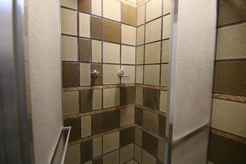 samba belo horizonte centro