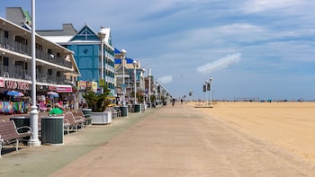 ocean city